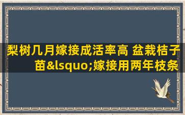 梨树几月嫁接成活率高 盆栽桔子苗‘嫁接用两年枝条能成活吗